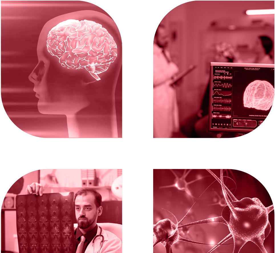 Neurosciences_3